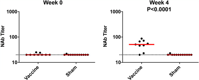 FIG 2