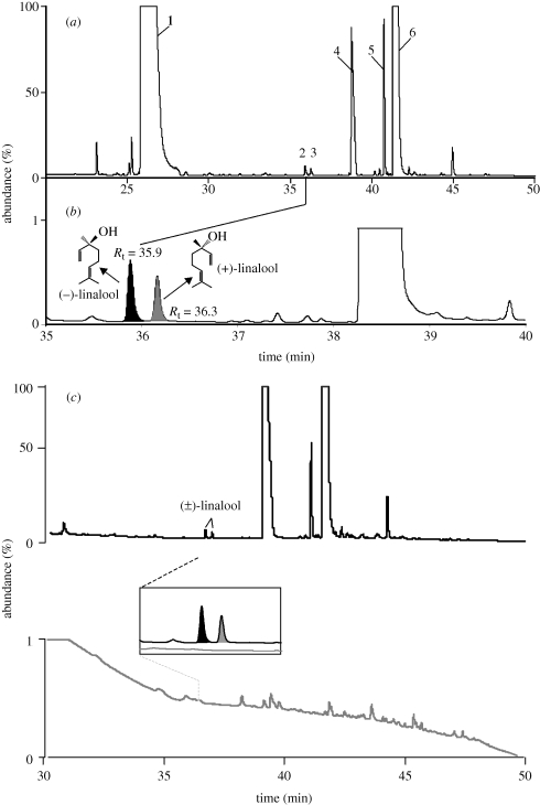 Figure 2.