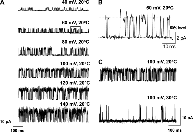 Figure 13.