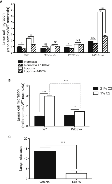 Figure 5