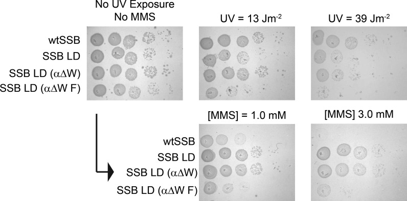 Figure 7.