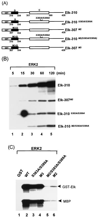 FIG. 8