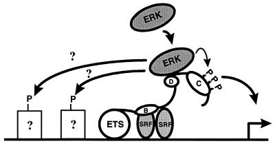 FIG. 10