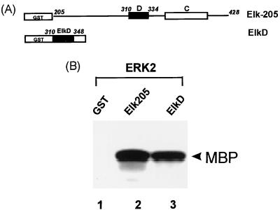 FIG. 9