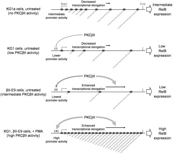 FIG. 9.