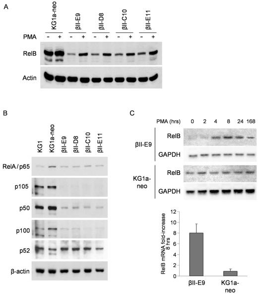 FIG. 7.