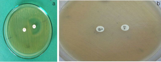 [Table/Fig-1a,b]: