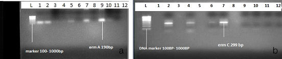 [Table/Fig-4a,b]: