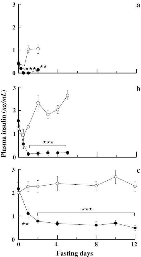 Fig. 6