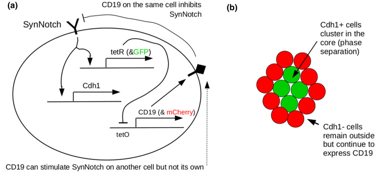 Figure 2.