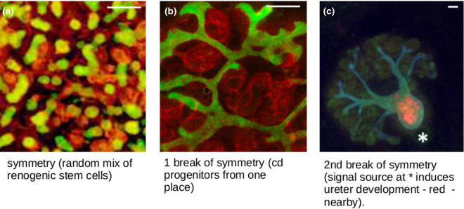 Figure 6.