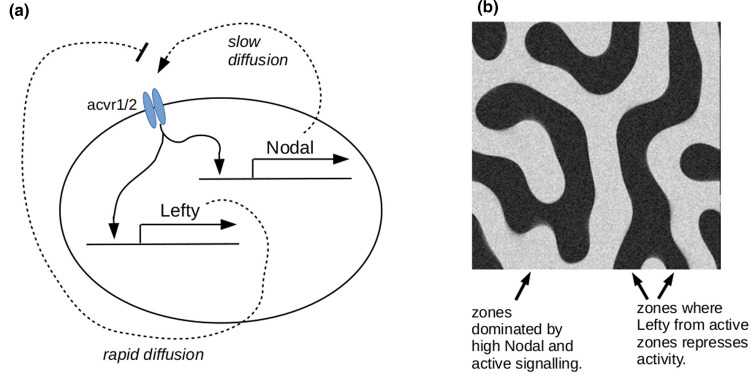 Figure 3.