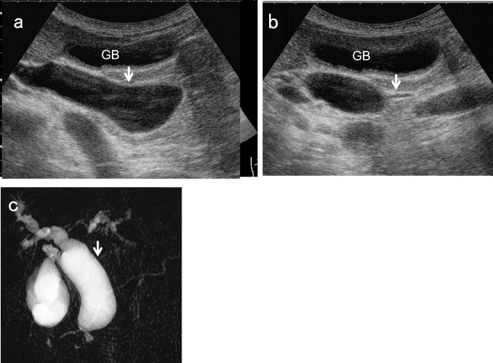 Fig. 8