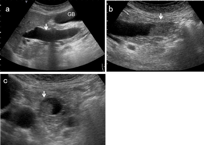 Fig. 7