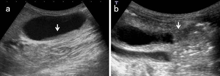 Fig. 6