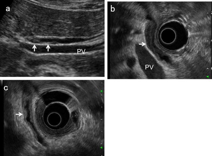 Fig. 10