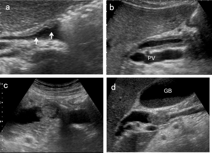 Fig. 9