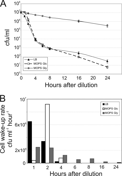 FIG. 2.