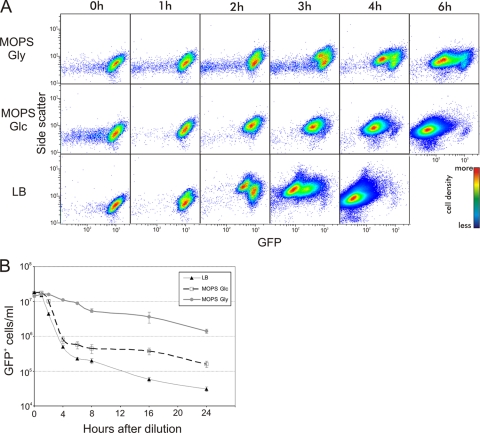 FIG. 3.