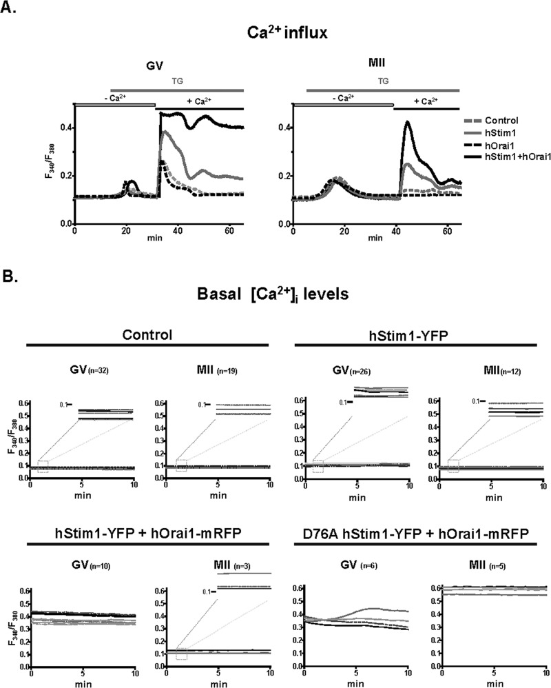 FIGURE 6: