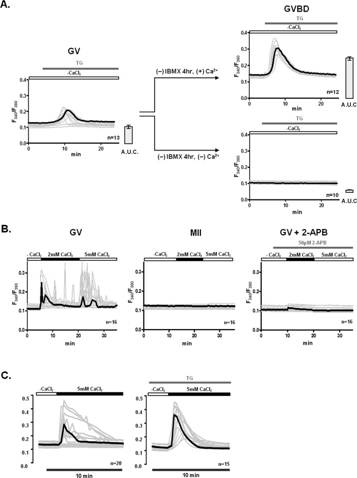 FIGURE 1: