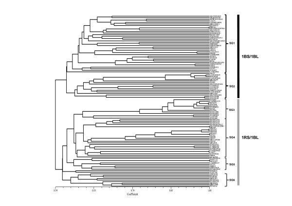 Figure5