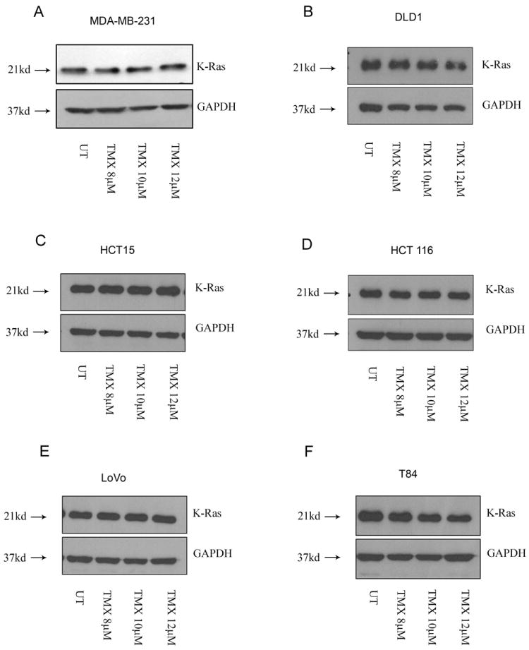 Fig.7