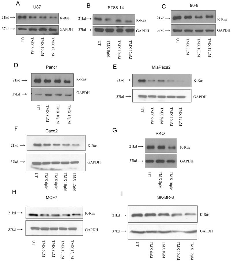 Fig.6