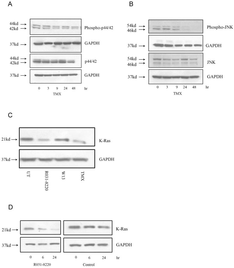 Fig.3