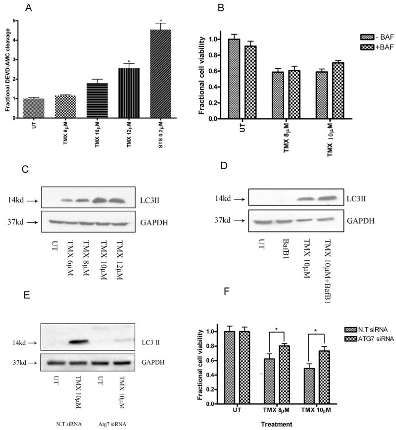 Fig.1