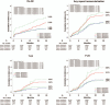 Figure 2 (Continued)