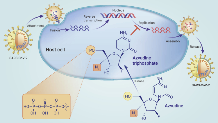 Figure 1