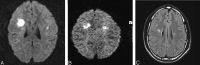 F<sc>ig</sc> 4.