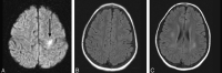 F<sc>ig</sc> 5.