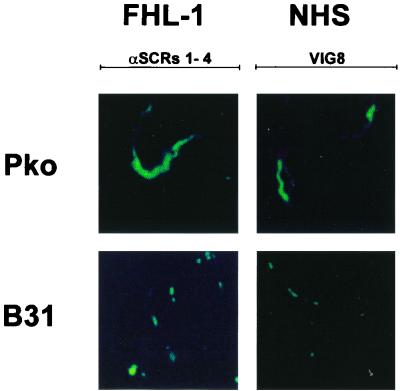 FIG. 6