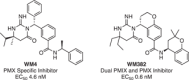Figure 24