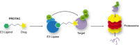 Figure 27