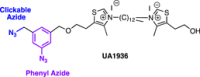 Figure 20