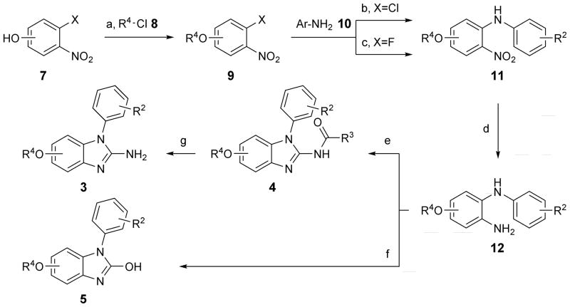 Scheme 1