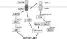 FIG 8