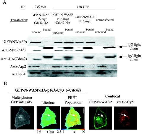 FIG. 8.