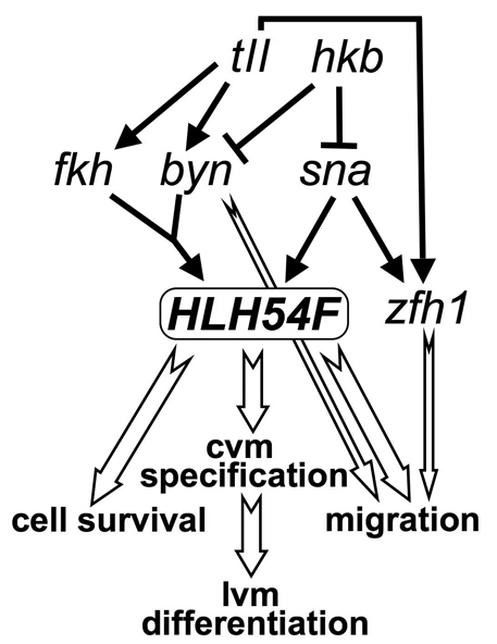 Fig. 8.