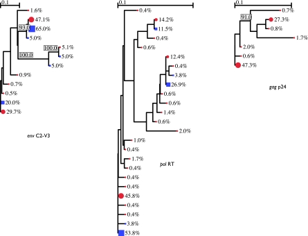 FIG. 2.