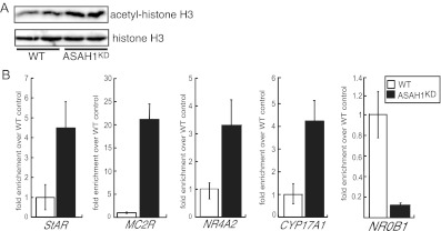 Fig. 8.