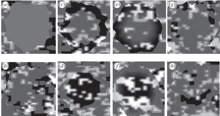 Figure 1.