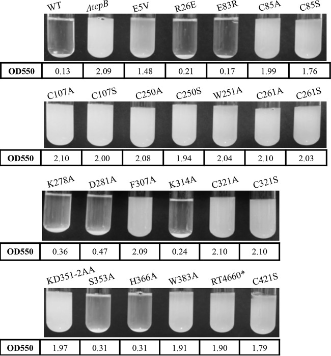 FIG 3