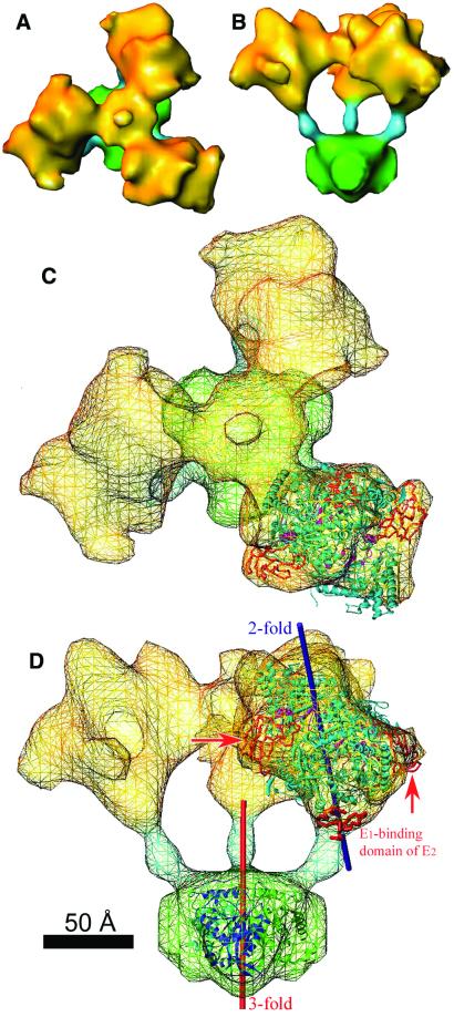 Figure 4