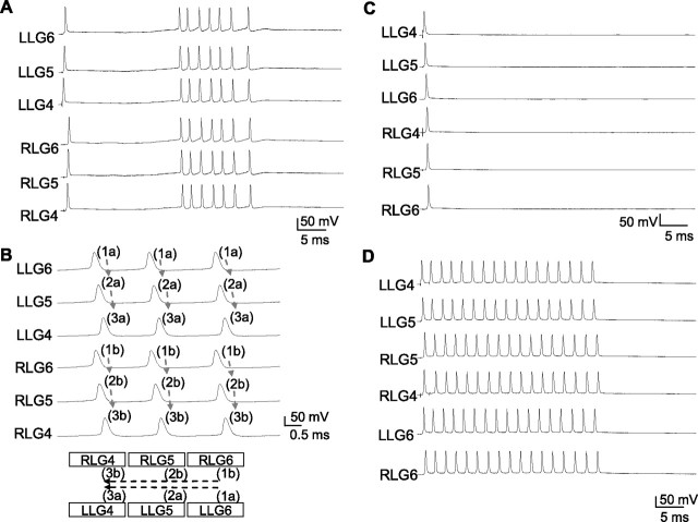 Figure 5.