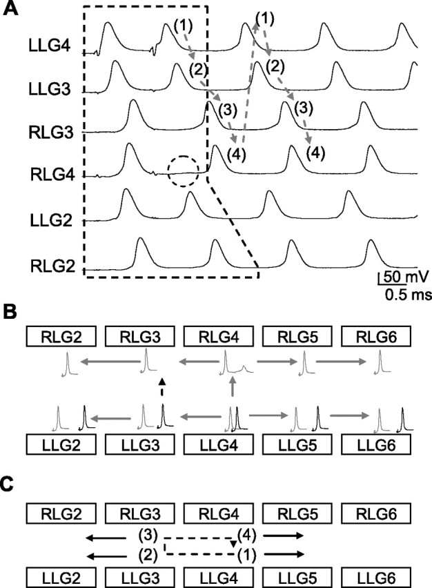 Figure 3.