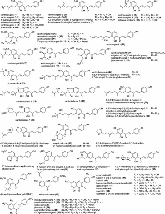 Fig. 1